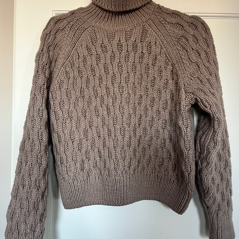 H&M Chunky Knit Turtleneck Sweater